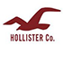 Holloster